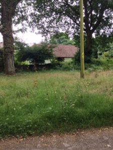 Bungalow hidden in woodland