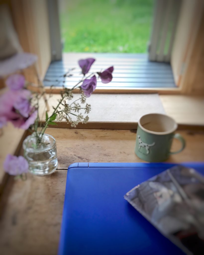 Blogging in the shpherds hut with flowers, cup and pc