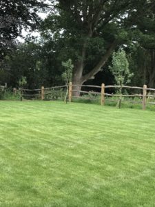 green lawn fruit trees and post and rail in country garden