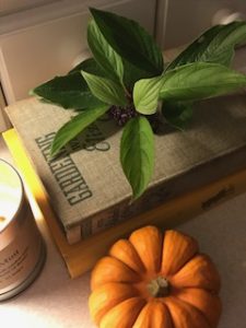 autumn pumpkins candles vintage book and garden greenery