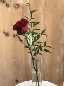 red rose with garden greenery for room decor