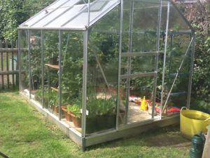 greenhouse in vegetable garden