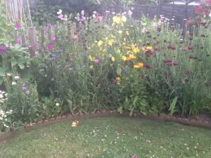 wildflowers in cottage garden of last home to renovate