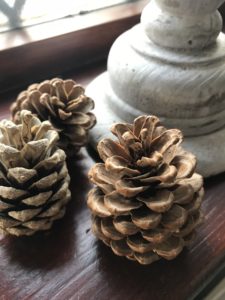 pinecones used to make firestarters