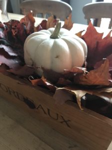 white pumpkin and leaves for halloween decoration ideas