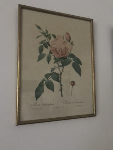 La Redoute rose print