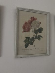 La Redoute rose print