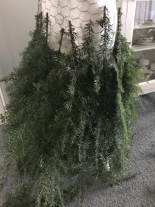 Fir tree branches create mannequin skirt for christmas decor