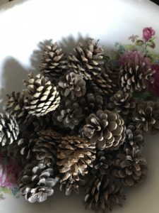 pinecones used to make firestarters