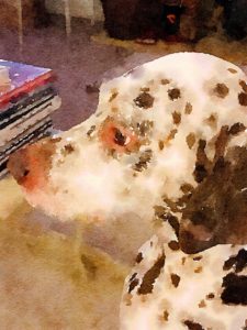 waterlogue app dalmatian paper for handwritten letter