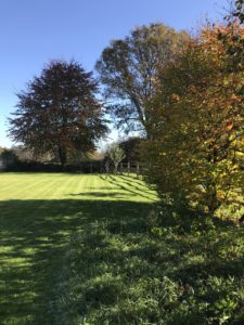 view after extensive landscaping in back garden in new year