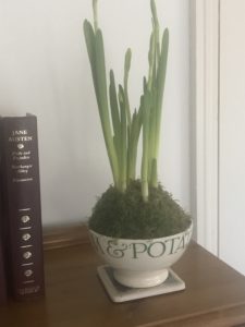 emma bridgewater soup bowl with spring bulbs and vintage book