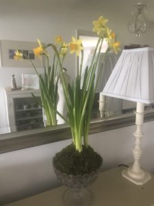 spring bulbs in glass rose bowl reflected in large mirror and lamp