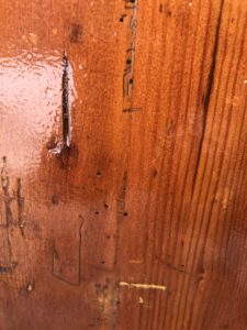 woodworm evidence on pot cupboard