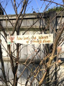 handmade signs hanging on bare branches with blue sky 