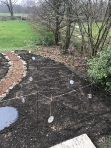 scattering seeds on top soil with path of chippings and rocks in preparation for wildflower garden with home made bird scarer