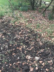 digging ground over to prepare for wildflower garden