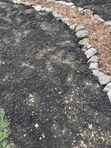 scattering seeds on top soil with path of chippings and rocks in preparation for wildflower garden