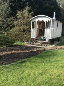 shpherds hut set in country garden and establishing a wildflower garden