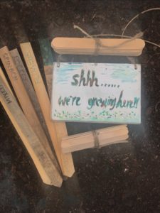 homemade signs with wooden lollipop sticks and garden labels