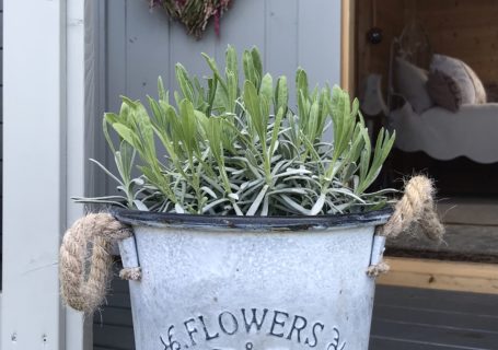 Meadow Flowers Garden Pot