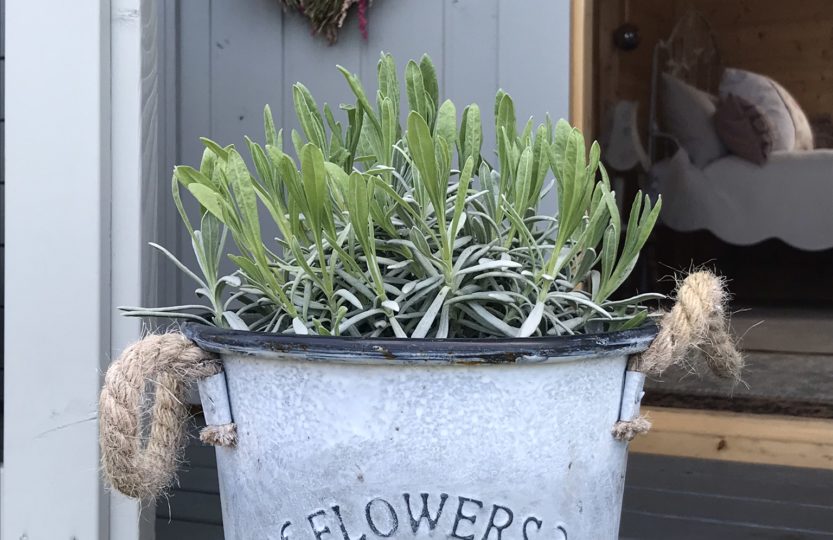 Meadow Flowers Garden Pot