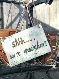 handpainted sign hanging in greenhouse with pots in vegetable garden