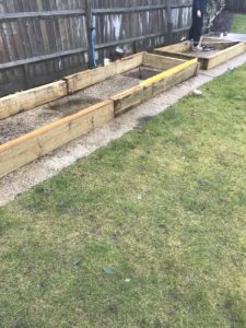 sleepers make raised beds on concrete base in vegetable garden with lawn and fencing