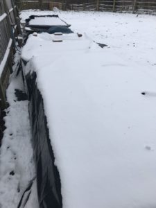 snow covered raised beds in vegetable garden