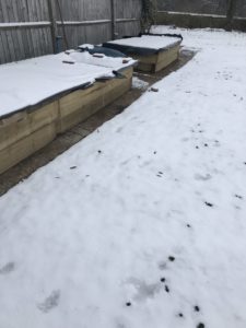 snow covered raised beds in vegetable garden