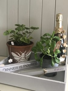 garden tray with champagne basil plant terracotta pot with geranium plant markers and kitchen sign with paper garlands