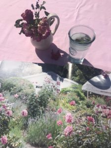 pink tablecloth with Rachel Ashwell book , simply shabby chic