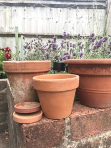 terracotta pot awaiting flower stencils - pot decoration