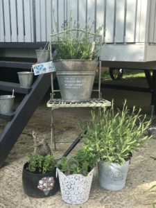 decorative vintage buckets and pails with garden plants