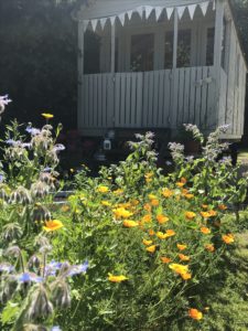 shepherds hut, fresh cut flowers for simple flower arrangements