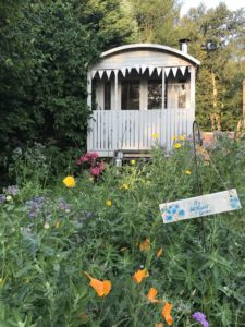 shepherds hut, fresh cut flowers ready for simple flower arrangements