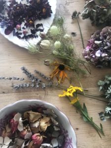 preserving flowers - preparing various dried flower heads for flower art project and lavender wreaths