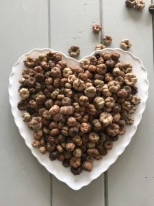 tiny mini dried pumpkins on heart plate create autumn decor flatlay