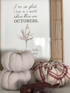 Anne of Green Gables quote with pink painted pumpkins and checked fabric pumpkin create autumn decor