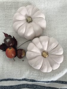 two painted pink mini pumpkins with foraged finds on french linen