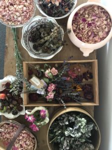 variety of beautiful dried flowers to be used for dried flower crafts