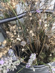 dried flowers used for dried flower crafts in zinc bucket