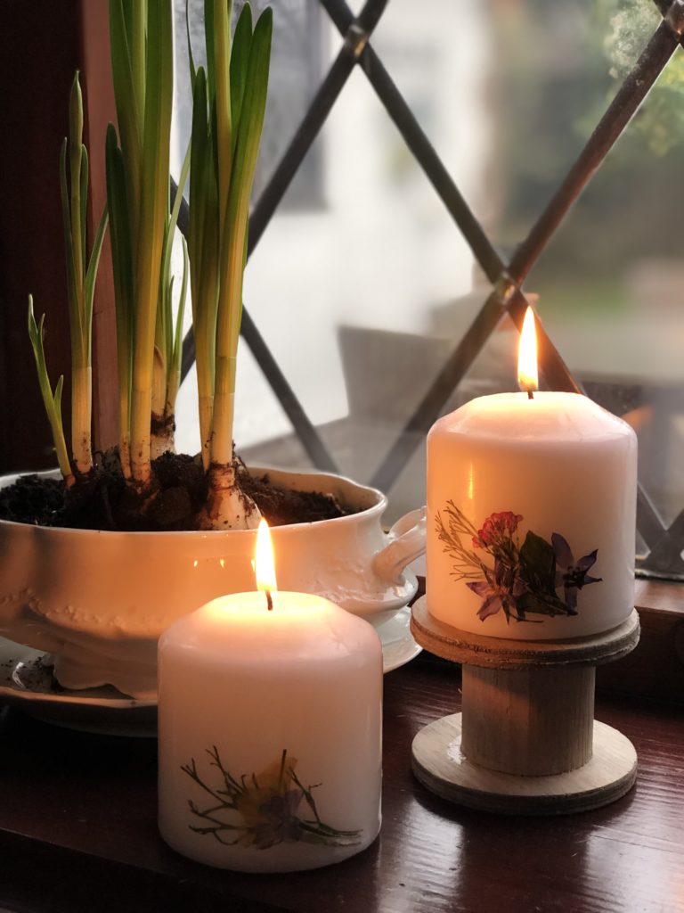 two pressed flower candles glowing in dusk window with spring bulbs