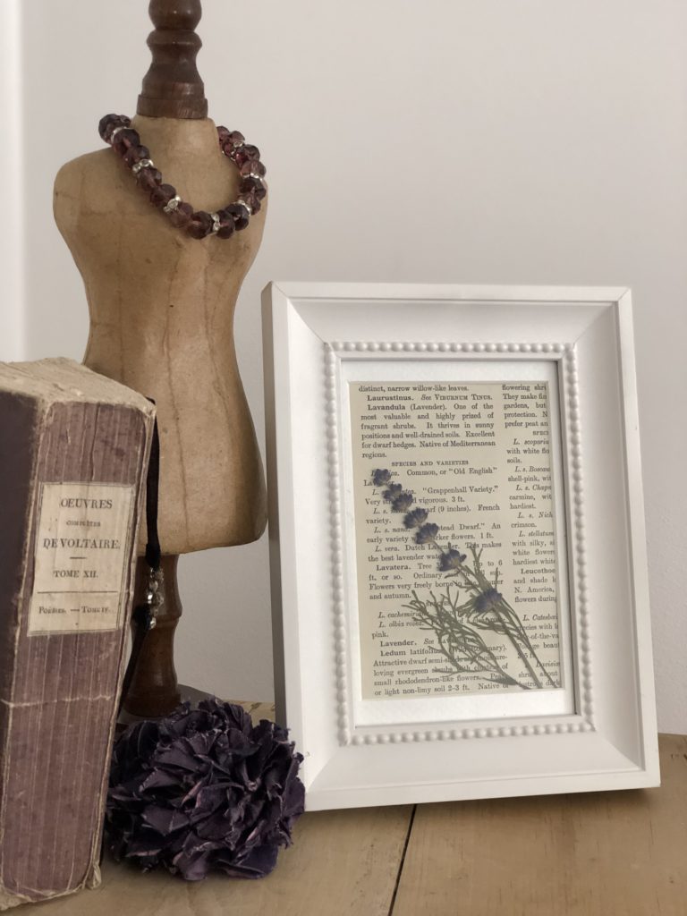 white picture frame contains lavender stem and book page