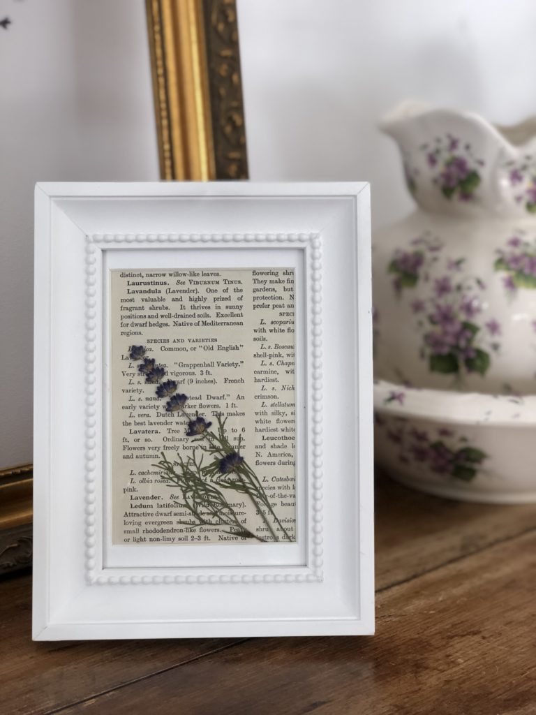 white picture frame contains lavender stem and book page