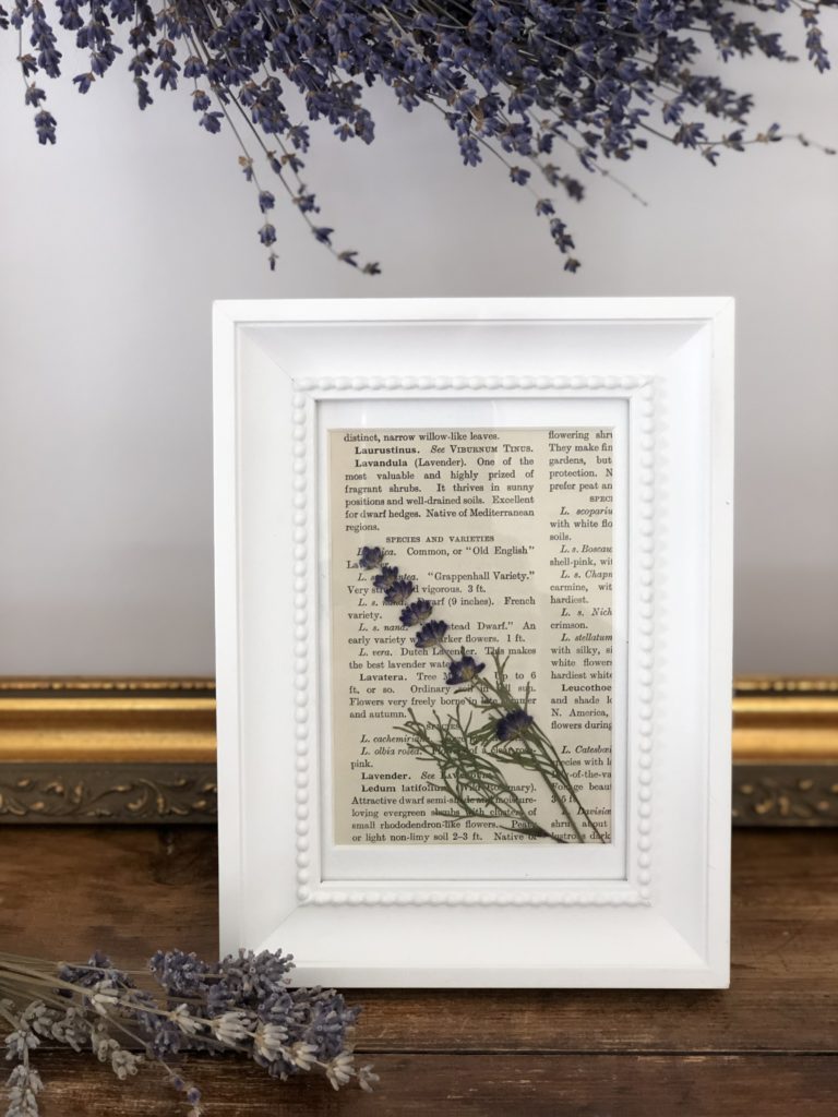 white picture frame contains lavender stem and book page