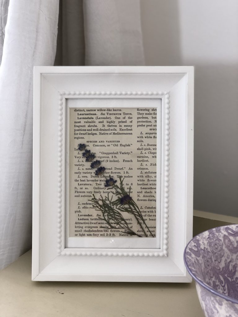 white picture frame contains lavender stem and book page