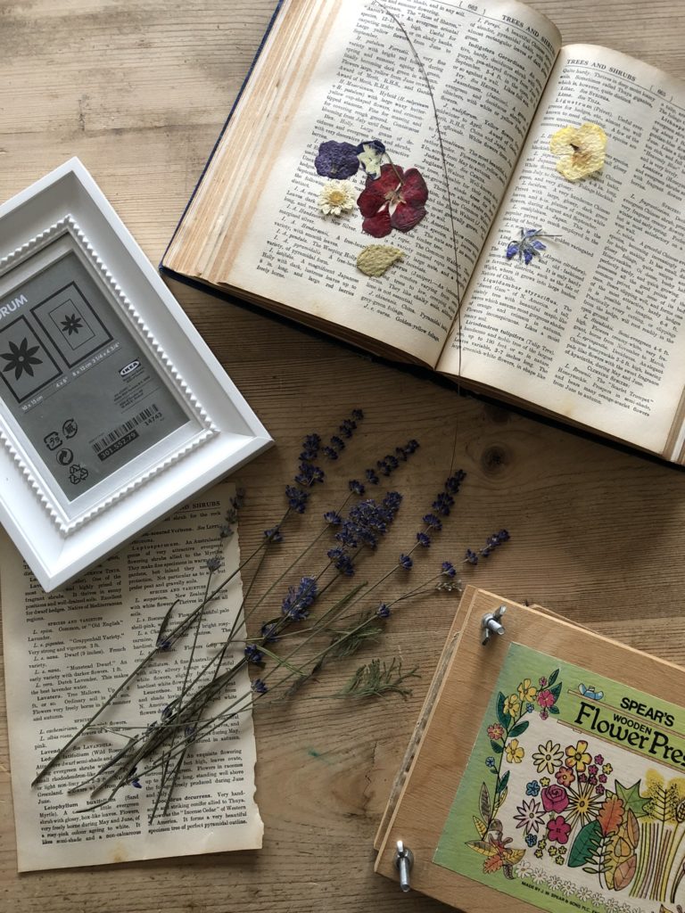 frame dried flowers book and flower press for book craft ideas