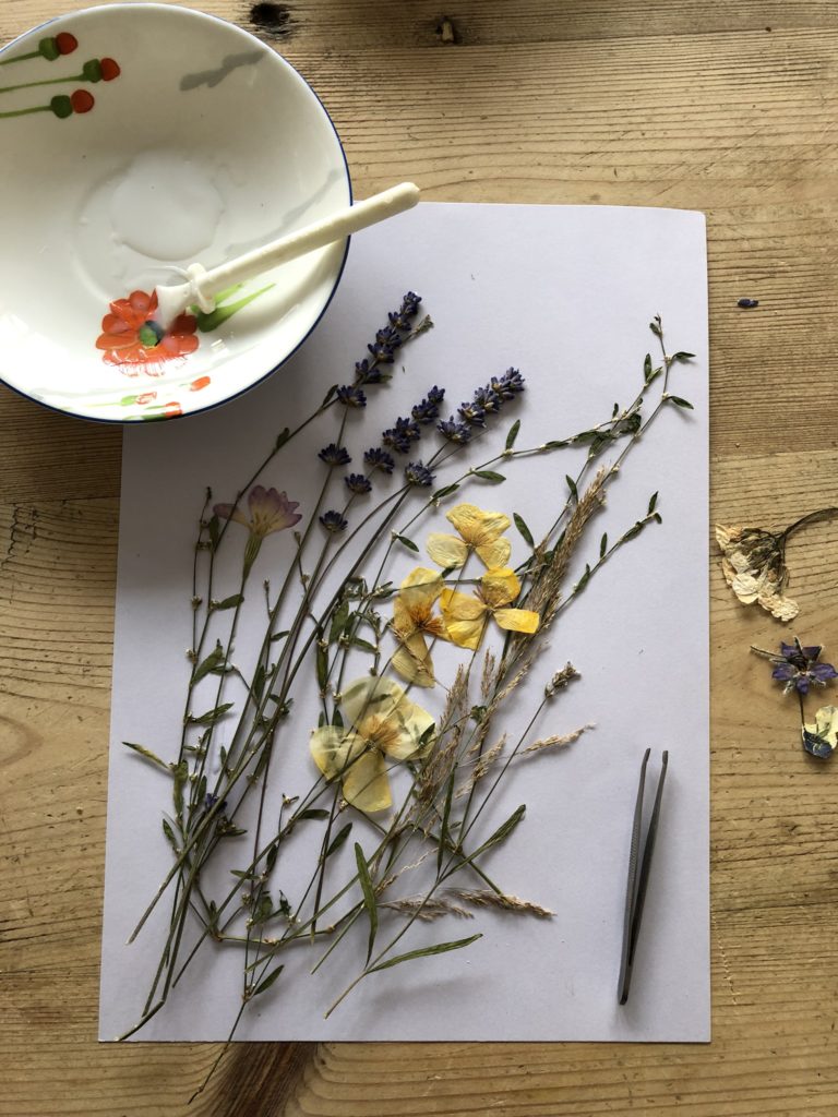 flowers on paper with glue and plate to begin dried flower picture