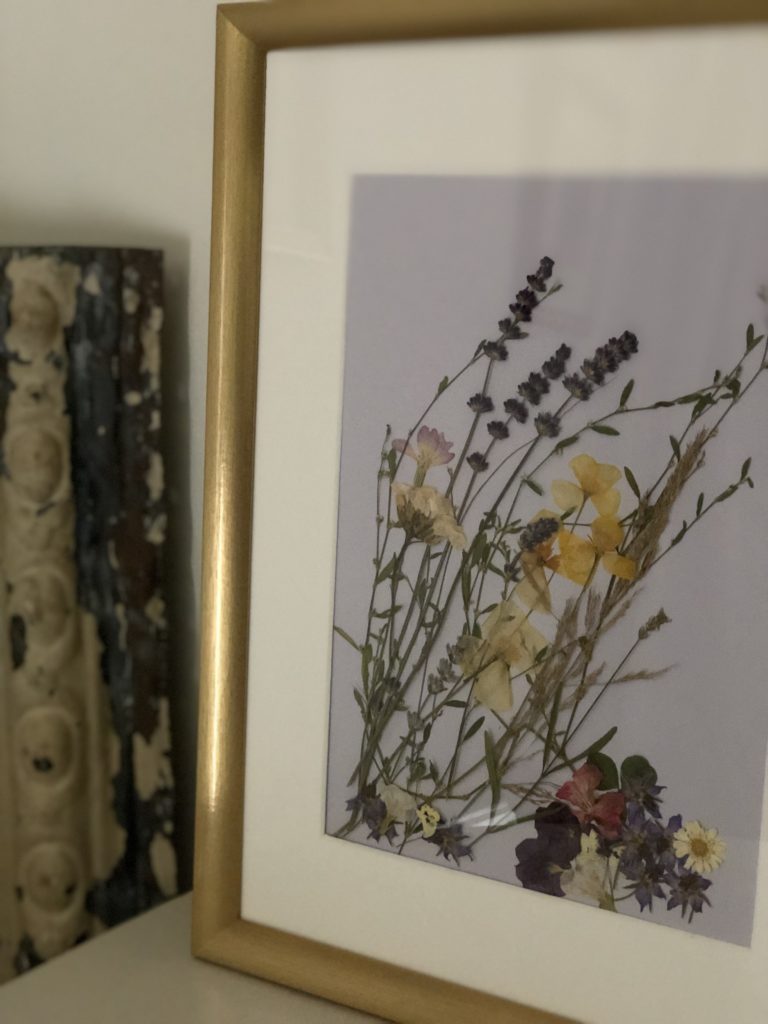 framed dried flower picture